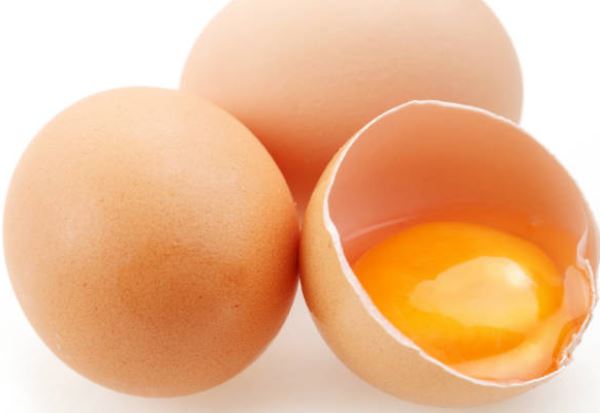 Posso comer ovos todos os dias?