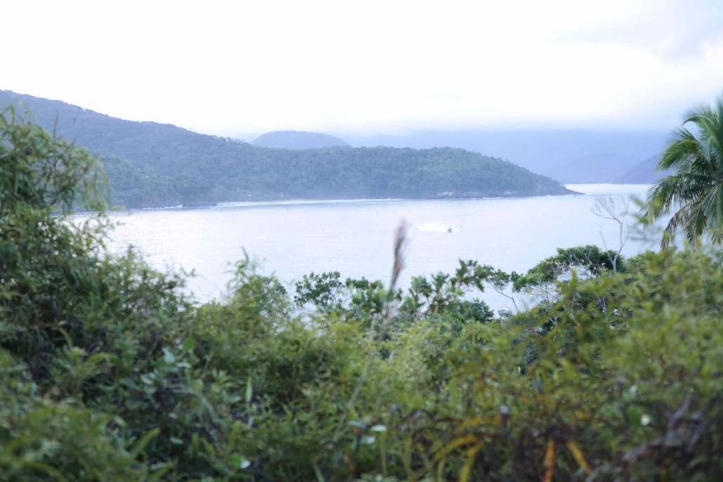 trilha em ubatuba