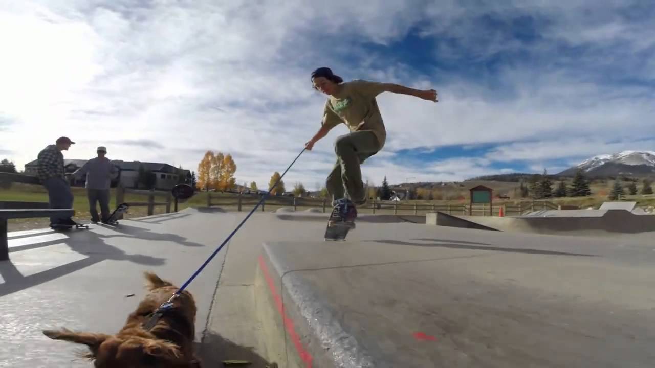 Um rolê de skate com o cachorro