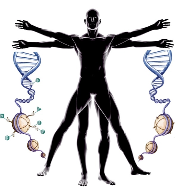 O Exercício pode mudar o seu DNA!